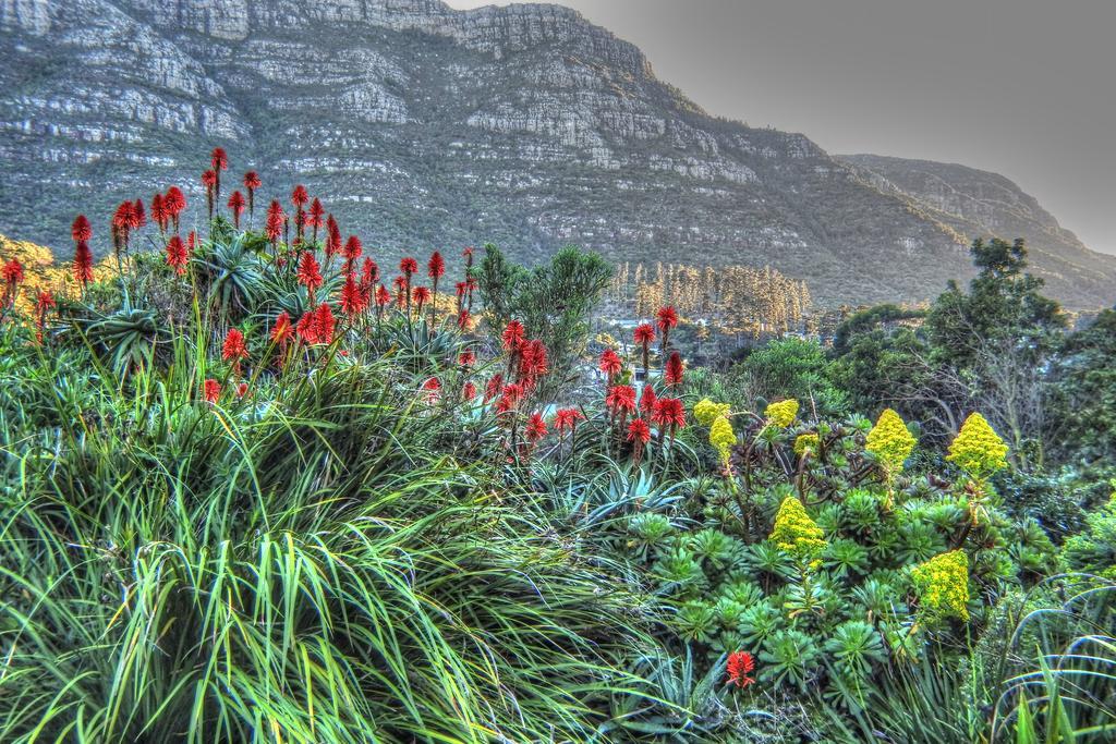 Kairos Lodge Hout Bay Exterior foto